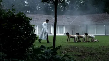 Zasłona do filmu "Ludzka stonoga" #323869