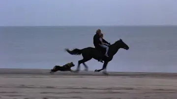 Zasłona do filmu "Jeździec" #463056