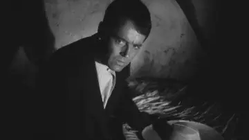 Zasłona do filmu "The Fugitive" #1797589