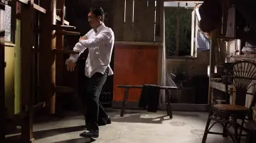Zasłona do filmu "Ip Man 2" #214420