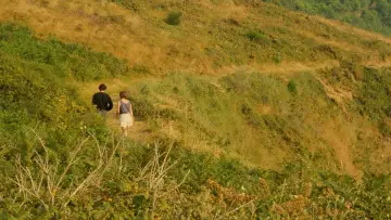 Zasłona do filmu "Opowieść letnia" #385979