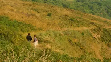 Zasłona do filmu "Opowieść letnia" #385993