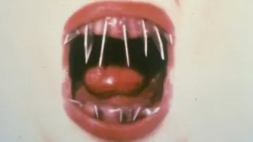 Zasłona do filmu "Dentysta 2" #890975