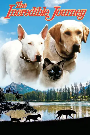 Plakat do filmu "The Incredible Journey" #1099482