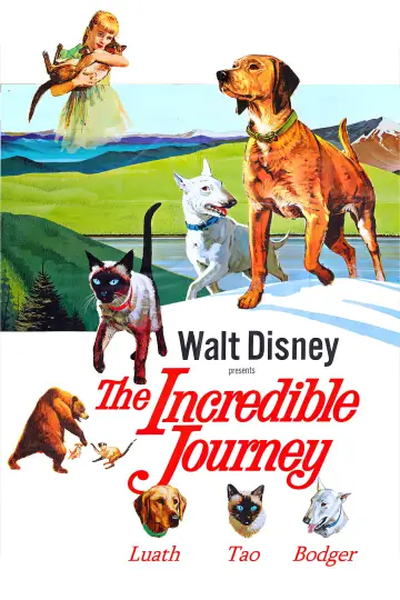 Plakat do filmu "The Incredible Journey" #1099484