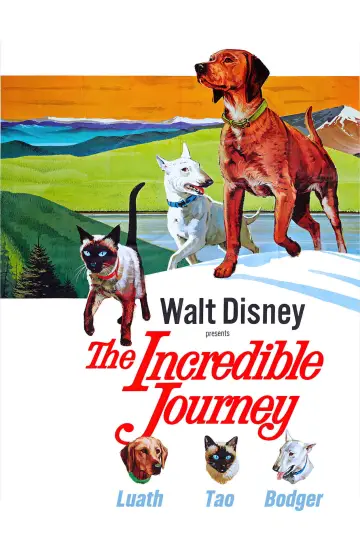 Plakat do filmu "The Incredible Journey" #1099485