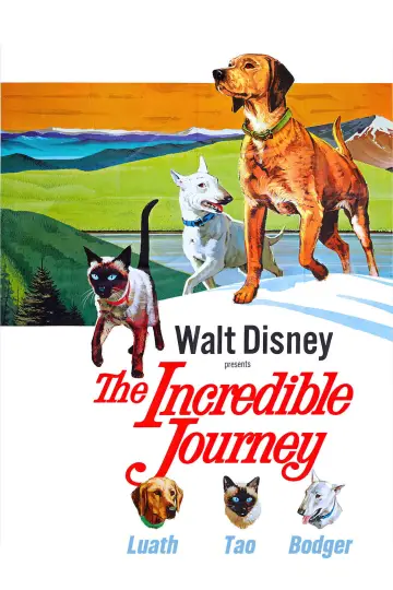 Plakat do filmu "The Incredible Journey" #1099486