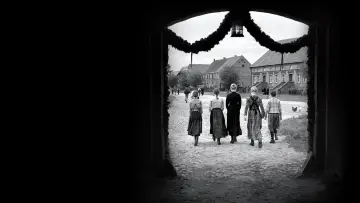 Zasłona do filmu "Biała wstążka" #1583877