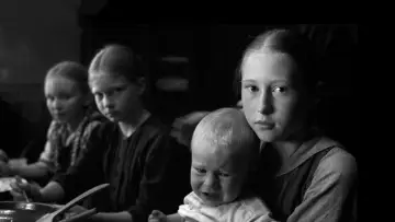 Zasłona do filmu "Biała wstążka" #1833484