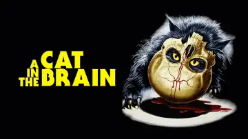 Zasłona do filmu "Un gatto nel cervello" #938553