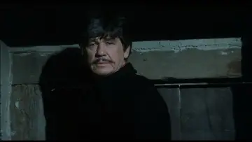 Zasłona do filmu "Miłość i kule" #440653