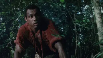 Zasłona do filmu "Mandingo" #358295