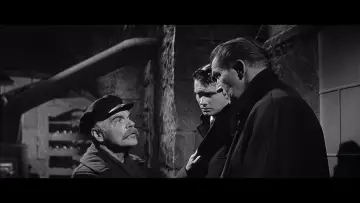Zasłona do filmu "Powrót muchy" #426150
