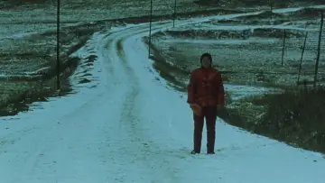 Zasłona do filmu "Historia Qiu Ju" #1199374