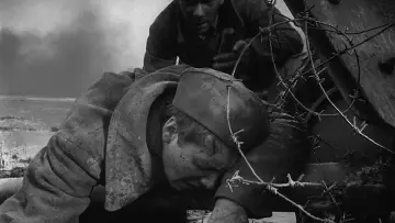 Zasłona do filmu "Lecą żurawie" #181572