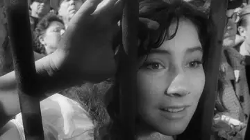 Zasłona do filmu "Lecą żurawie" #181573