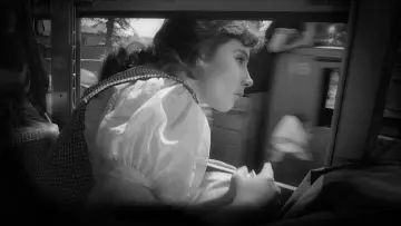 Zasłona do filmu "Lecą żurawie" #893768