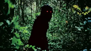 Zasłona do filmu "Wujek Boonmee, który potrafi przywołać swoje poprzednie wcielenia" #1834476
