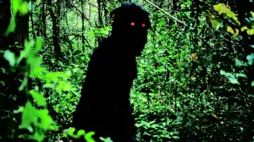 Zasłona do filmu "Wujek Boonmee, który potrafi przywołać swoje poprzednie wcielenia" #271410