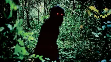 Zasłona do filmu "Wujek Boonmee, który potrafi przywołać swoje poprzednie wcielenia" #271411
