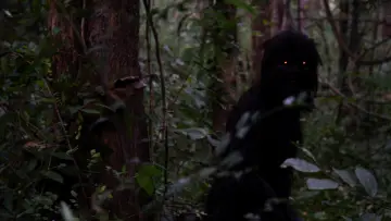 Zasłona do filmu "Wujek Boonmee, który potrafi przywołać swoje poprzednie wcielenia" #271415