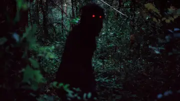 Zasłona do filmu "Wujek Boonmee, który potrafi przywołać swoje poprzednie wcielenia" #271418
