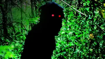 Zasłona do filmu "Wujek Boonmee, który potrafi przywołać swoje poprzednie wcielenia" #996511