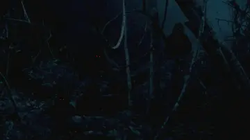 Zasłona do filmu "Wujek Boonmee, który potrafi przywołać swoje poprzednie wcielenia" #996513