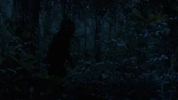 Zasłona do filmu "Wujek Boonmee, który potrafi przywołać swoje poprzednie wcielenia" #996525
