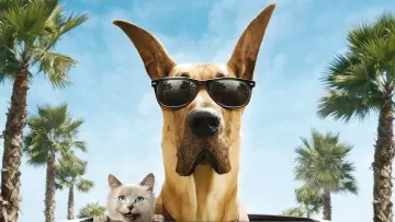 Zasłona do filmu "Marmaduke - pies na fali" #386718