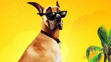 Zasłona do filmu "Marmaduke - pies na fali" #386719