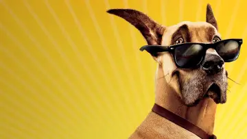 Zasłona do filmu "Marmaduke - pies na fali" #386721