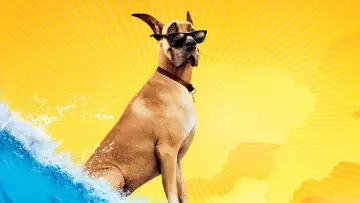 Zasłona do filmu "Marmaduke - pies na fali" #386727