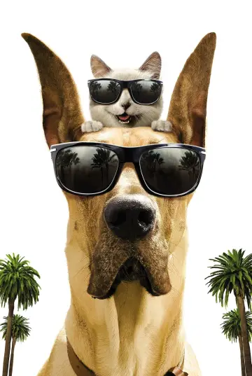Plakat do filmu "Marmaduke - pies na fali" #386730