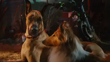 Zasłona do filmu "Marmaduke - pies na fali" #616775
