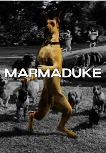 Plakat do filmu "Marmaduke - pies na fali" #616798