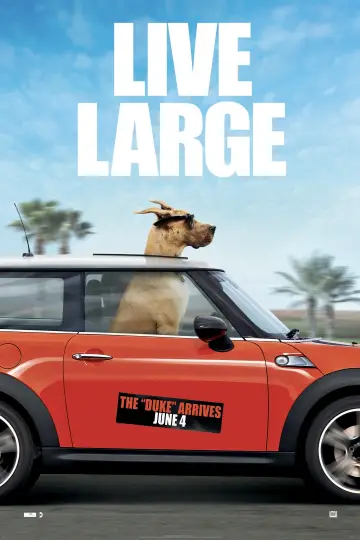 Marmaduke - pies na fali