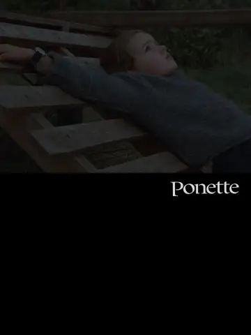 Plakat do filmu "Ponette" #662748