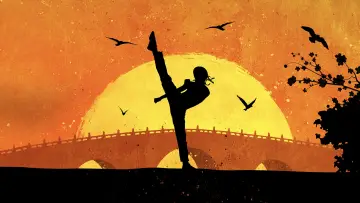 Zasłona do filmu "Karate Kid" #786808