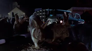 Zasłona do filmu "Night of the Lepus" #1083388