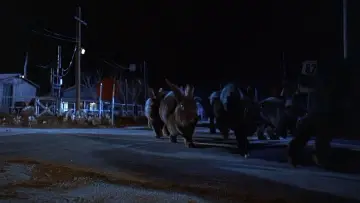 Zasłona do filmu "Night of the Lepus" #439165