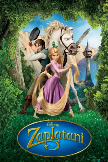 Plakat do filmu "Zaplątani" #551335