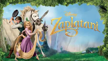 Zasłona do filmu "Zaplątani" #911676