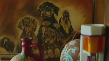 Zasłona do filmu "Kieł" #1647356
