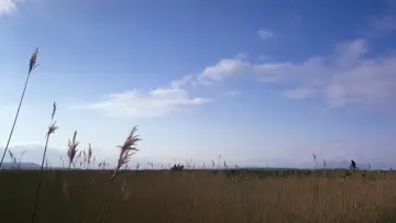 Zasłona do filmu "Córka Ryana" #1894650