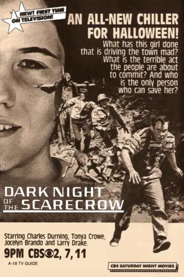 Plakat do filmu "Dark Night of the Scarecrow" #1065985