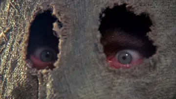 Zasłona do filmu "Dark Night of the Scarecrow" #423934