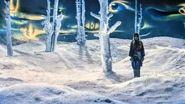 Zasłona do filmu "Kwaidan, czyli Opowieści Niesamowite" #813015