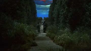 Zasłona do filmu "Kwaidan, czyli Opowieści Niesamowite" #813019
