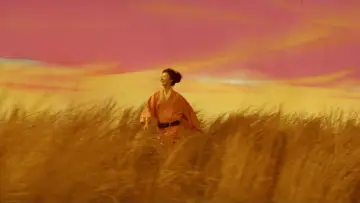 Zasłona do filmu "Kwaidan, czyli Opowieści Niesamowite" #813029